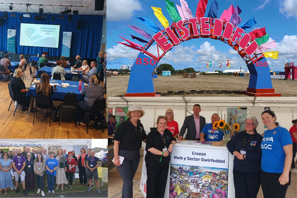 A selection of photos from PAVS summer activities and events